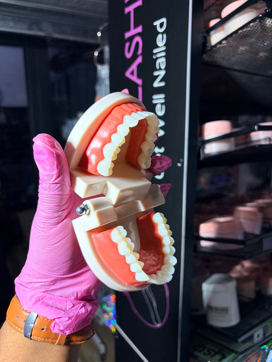 Teeth model